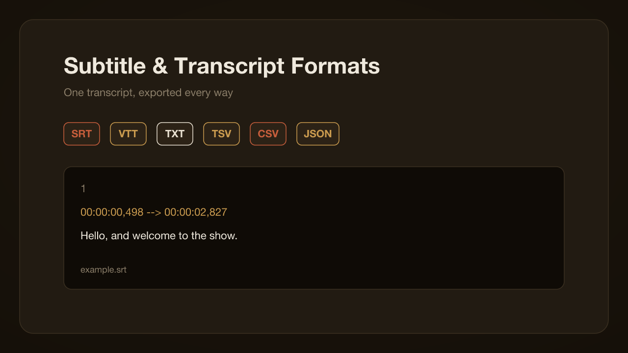 Subtitle & Transcript File Formats Explained: SRT, VTT, TXT, JSON, CSV & More